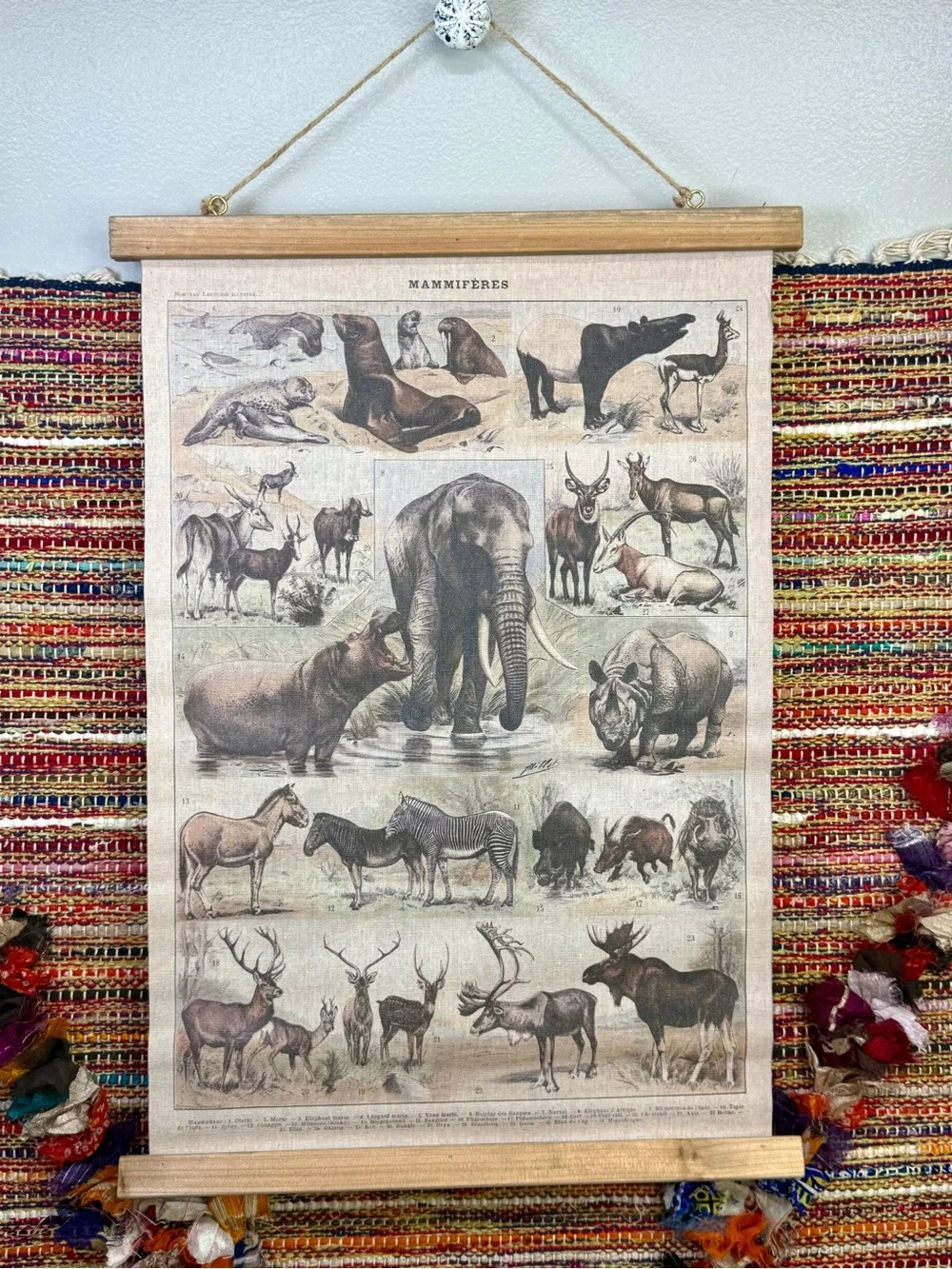 Vintage educational wall chart titled 